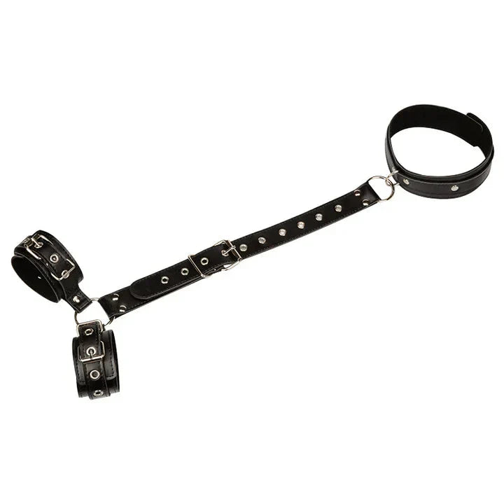 Collar-to-Wrist Restraint Harness