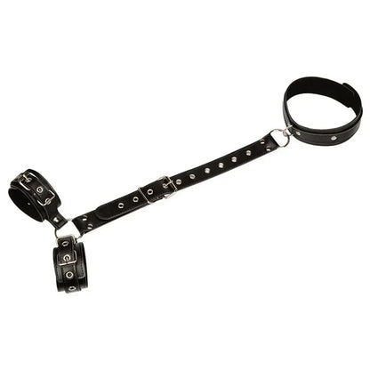 Collar-to-Wrist Restraint Harness
