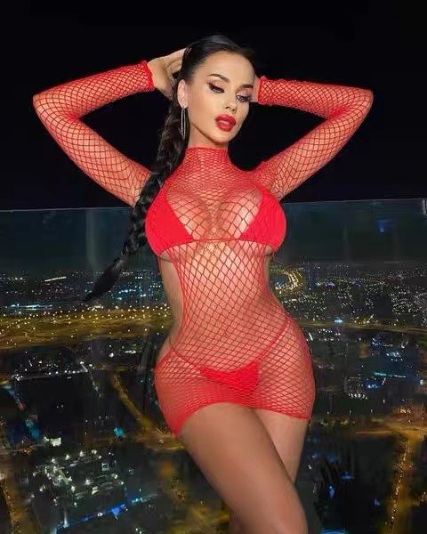 Fishnet Mini Dress with Long Sleeves and High Neck